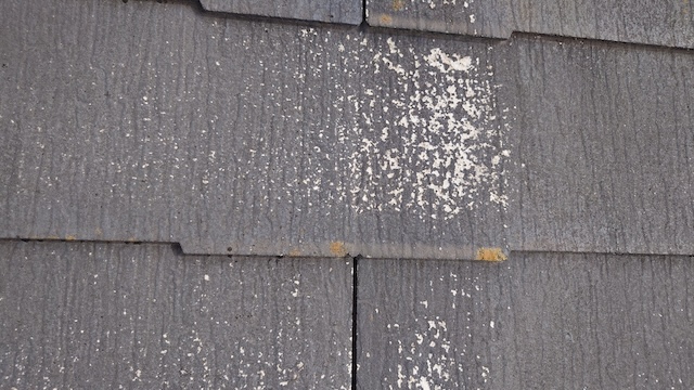 コロニアルNEO・経年劣化